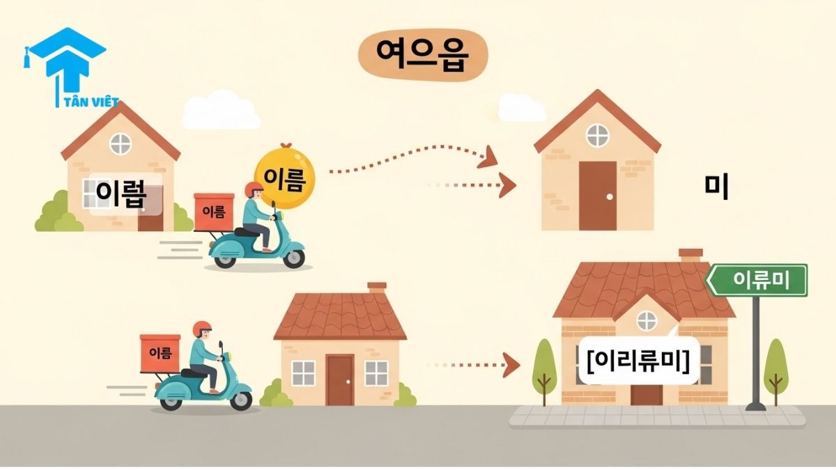 Nối Âm Tiếng Hàn (연음): Toàn Tập Quy Tắc & Luyện Phát Âm Batchim 3 Hình ảnh infographic dễ thương giải thích quy tắc nối âm (연음) qua ví dụ '이름이'. Hướng dẫn cách đọc batchim 'ㅁ' khi gặp nguyên âm để phát âm tiếng Hàn trôi chảy và chính xác.