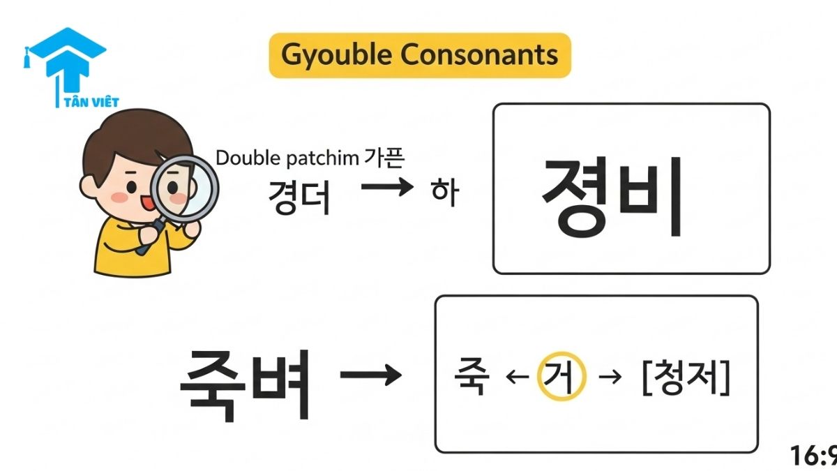 Patchim là gì? Giải Mã Toàn Tập Phụ Âm Cuối & Quy Tắc Biến Âm Tiếng Hàn 3 An infographic explaining how to pronounce Korean double final consonants (Gyeopbatchim or double Patchim). This chart shows which consonant is silent and how the sounds change with a following vowel, a crucial guide for intermediate Hangeul learners.