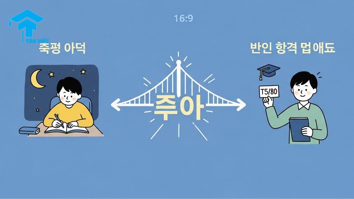 Phó Từ Trong Tiếng Hàn (한국어 부사): Cẩm Nang Toàn Diện A-Z 3 A 16:9 illustration showing how a Korean connecting adverb like '그래서' (therefore) logically links a cause (studying hard) to an effect (good test score). This explains the function of '접속 부사' in a comprehensive Korean grammar guide.