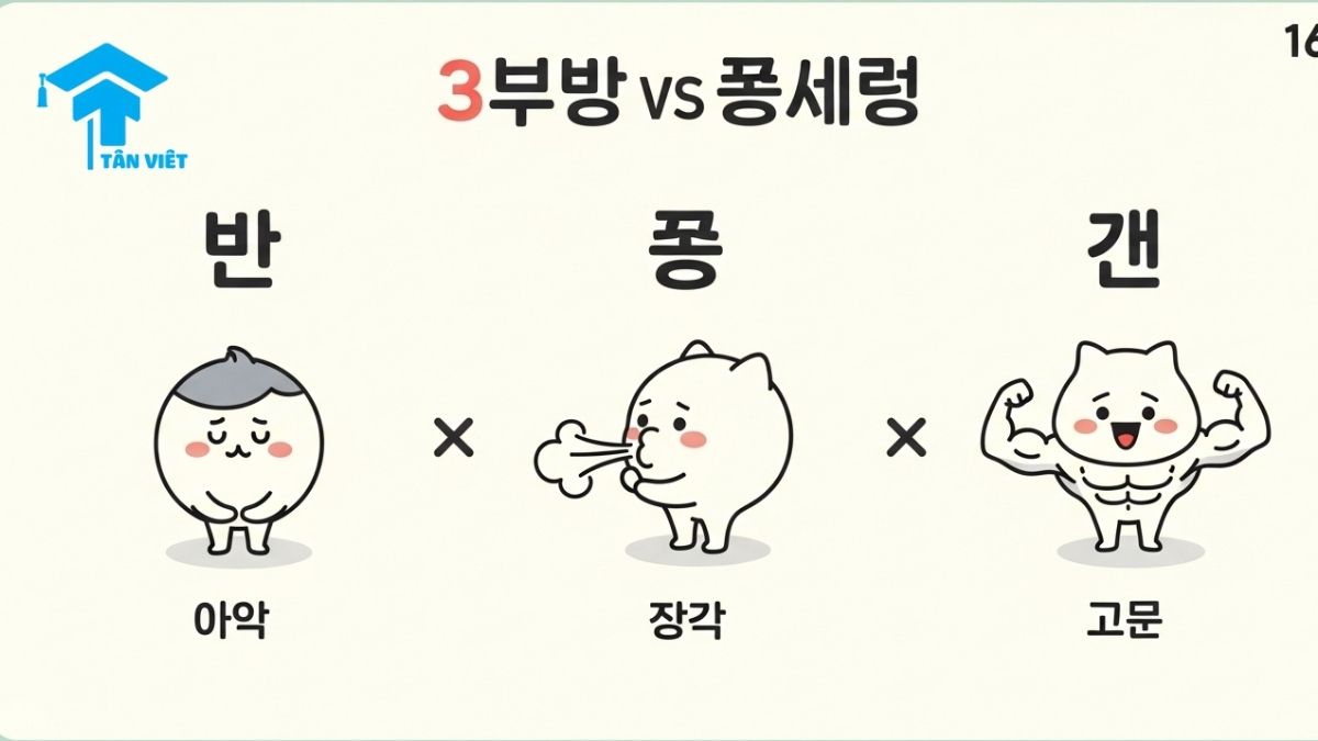 An infographic comparing plain, aspirated, and tense Korean consonants (e.g., ㄱ, ㅋ, ㄲ). Cute characters illustrate the difference in pronunciation and airflow, helping beginners learn to speak Korean accurately and master Hangeul sounds.
