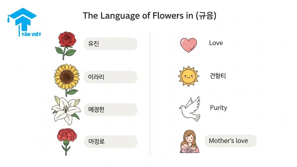 An infographic explaining the 'Language of Flowers in Korean (꽃말 - kkot-mal)', matching flowers like the Rose (장미) and Lily (백합) to their symbolic meanings. A visual guide to Korean flower vocabulary and gift-giving culture.