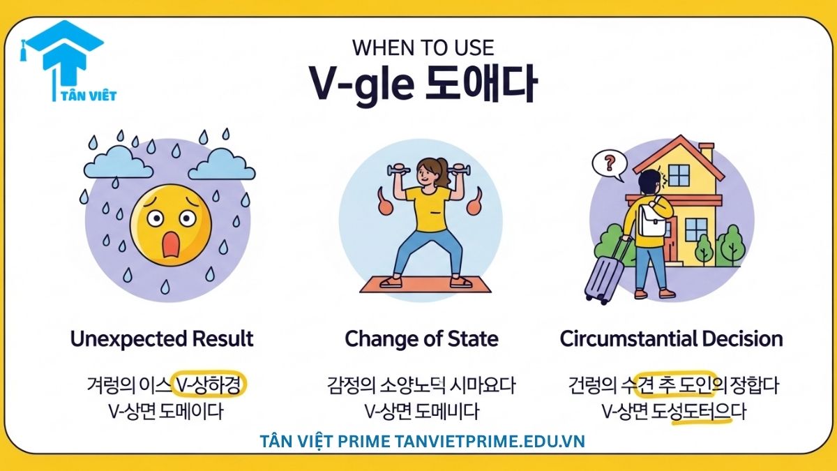 Ngữ Pháp V-게 되다 Toàn Tập: Cách Dùng, Ví Dụ & Phân Biệt Với -아/어지다 3 Sơ đồ infographic minh họa ba cách dùng phổ biến của ngữ pháp tiếng Hàn "V-게 되다": kết quả bất ngờ (như phải về nhà vì mưa), thay đổi trạng thái (trở nên khỏe mạnh hơn nhờ tập thể dục), và quyết định do hoàn cảnh (chuyển nhà vì gia đình). Kèm theo câu ví dụ cho mỗi kịch bản. Giúp đơn giản hóa việc hiểu cách áp dụng "V-게 되다".