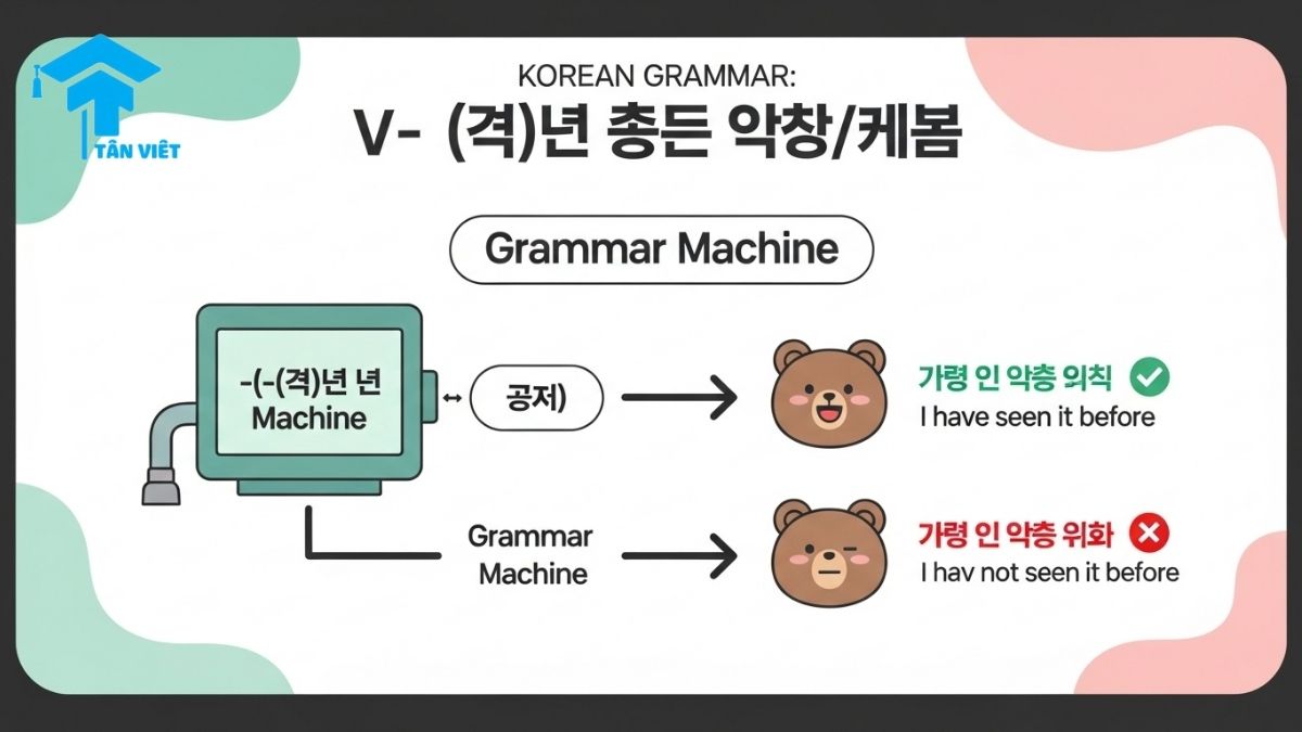 Ngữ pháp V-(으)ㄴ 적이 있다/없다: Toàn Tập Cách Nói "Đã Từng/Chưa Từng" 1 An infographic in a cute Korean style explaining the Korean grammar V-(으)ㄴ 적이 있다/없다 for expressing past experience. It shows a flowchart for how to say 'have seen' (본 적이 있어요) and 'have not seen' (본 적이 없어요), which helps learners understand the difference and usage