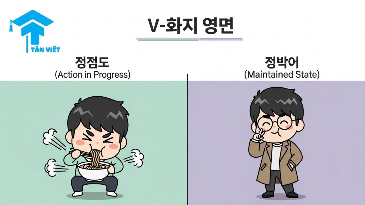 Ngữ pháp V-고 있다: Toàn Tập Cách Dùng "Đang" Trong Tiếng Hàn & Phân Biệt 2 Infographic explaining the two meanings of the Korean grammar V-go itda, comparing an 'ongoing action' (a character eating) with a 'maintained state' (the same character wearing clothes).