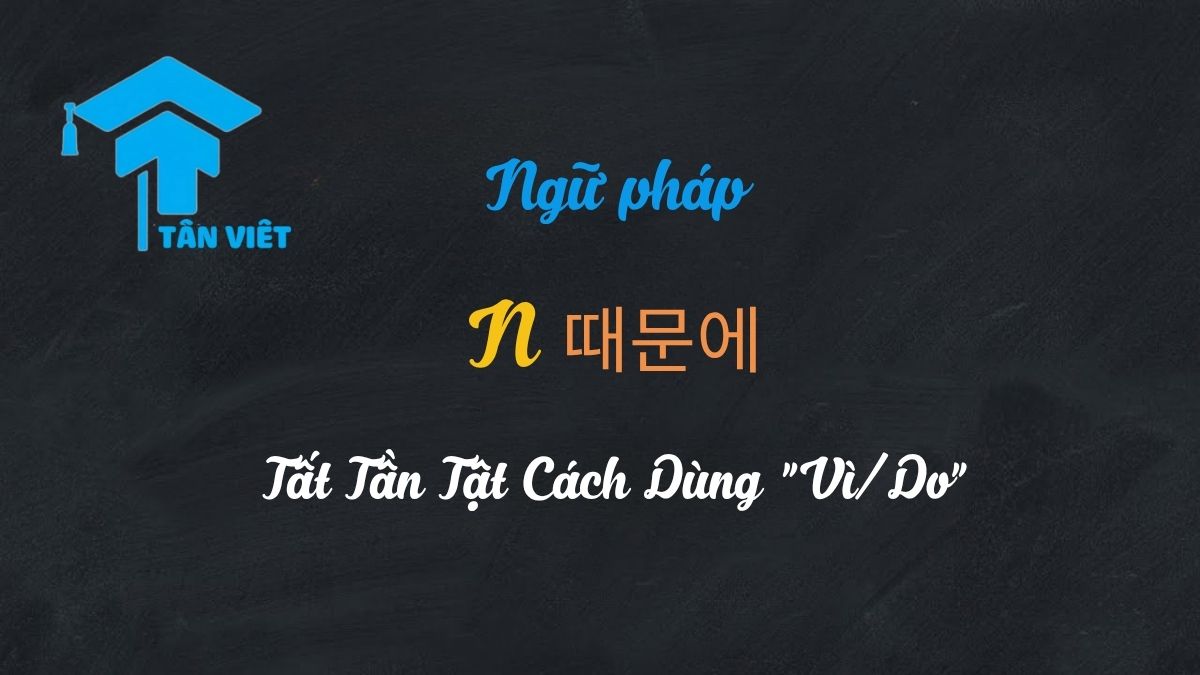 Infographic tổng quan về ngữ pháp N 때문에 trong tiếng Hàn và ý nghĩa 'vì/do'.