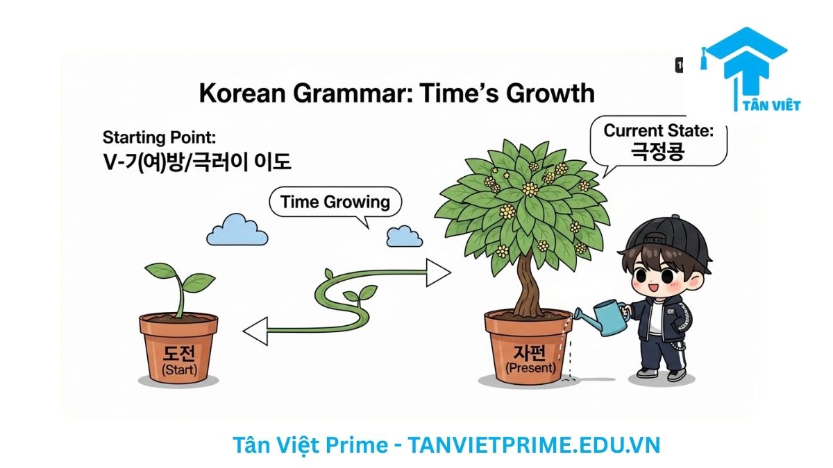 Hình ảnh minh họa cấu trúc V-(으)ㄴ 지 되다, mô tả một cây non phát triển thành cây lớn theo thời gian để làm rõ ý nghĩa "đã được một khoảng thời gian" một cách sinh động. Học ngữ pháp tiếng Hàn qua hình ảnh ẩn dụ.