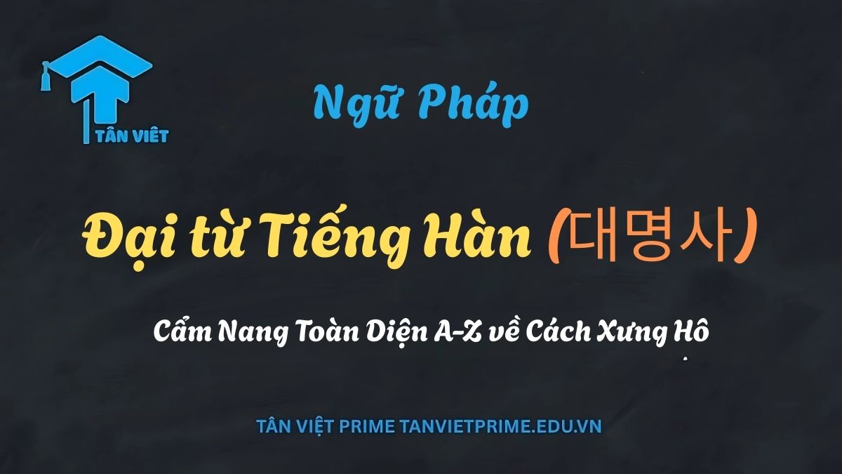 Sơ đồ infographic giải thích các loại đại từ tiếng Hàn, mô tả các đại từ nhân xưng (tôi, bạn), chỉ định (này, đó, kia) và nghi vấn (ai, gì), giúp người học phân biệt và sử dụng đúng theo kính ngữ.