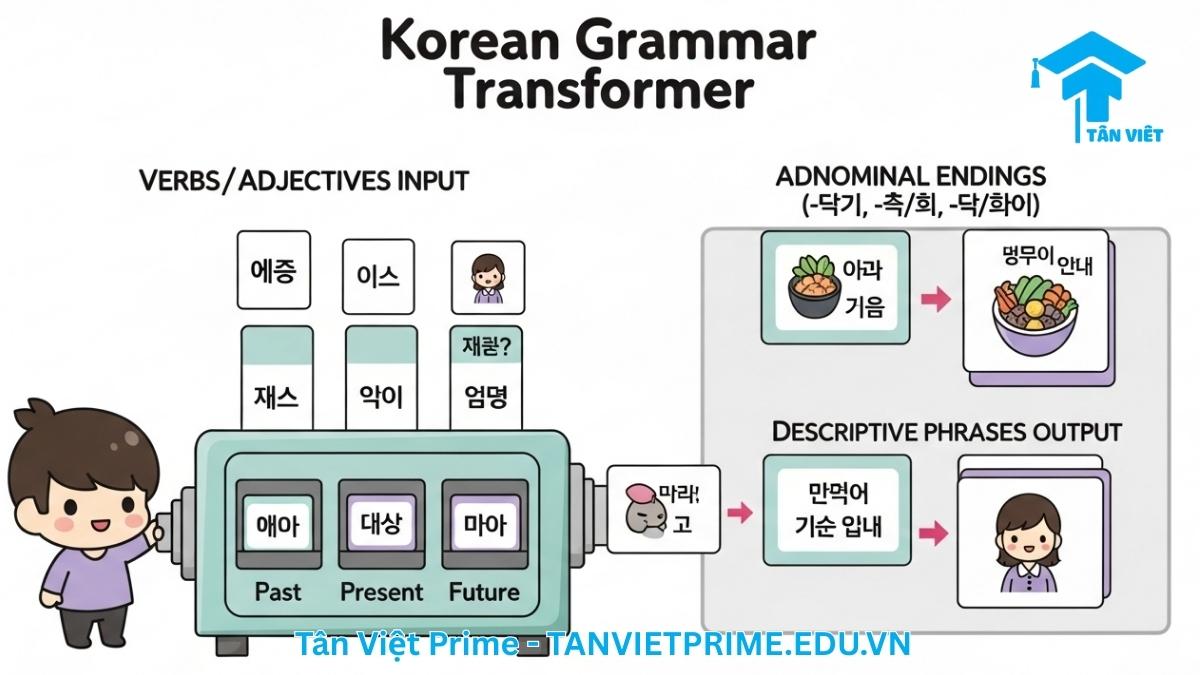 Infographic giải thích Định ngữ trong tiếng Hàn, mô tả một cỗ máy ngữ pháp biến đổi động từ và tính từ thành các cụm từ bổ nghĩa cho danh từ, giúp làm rõ cách tạo ra các mệnh đề định ngữ theo thì quá khứ, hiện tại và tương lai.