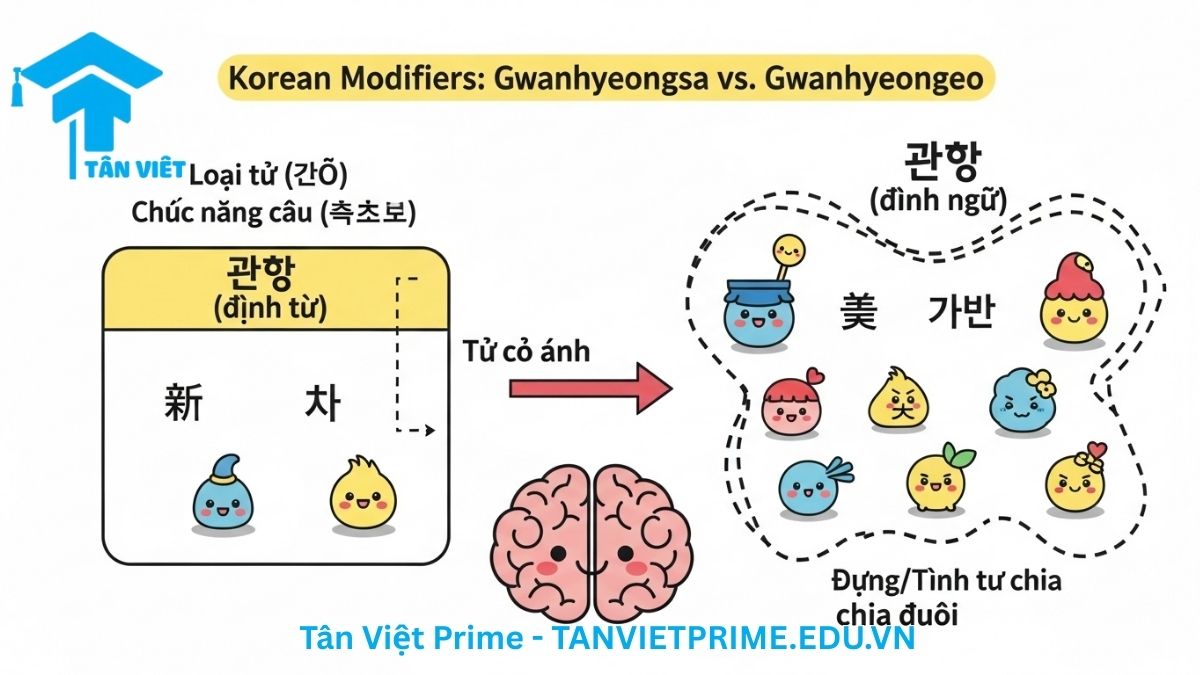 Sơ đồ giải thích sự khác biệt giữa Định từ (관형사) và Định ngữ (관형어) trong tiếng Hàn, mô tả một hộp nhỏ "Định từ" chứa các từ cố định như '새', '이' lồng vào bên trong một hộp lớn hơn "Định ngữ" cũng chứa các từ chia đuôi như '예쁜' để làm rõ Định từ là một loại từ cụ thể, trong khi Định ngữ là chức năng bổ nghĩa rộng hơn. Phân biệt ngữ pháp tiếng Hàn cơ bản.