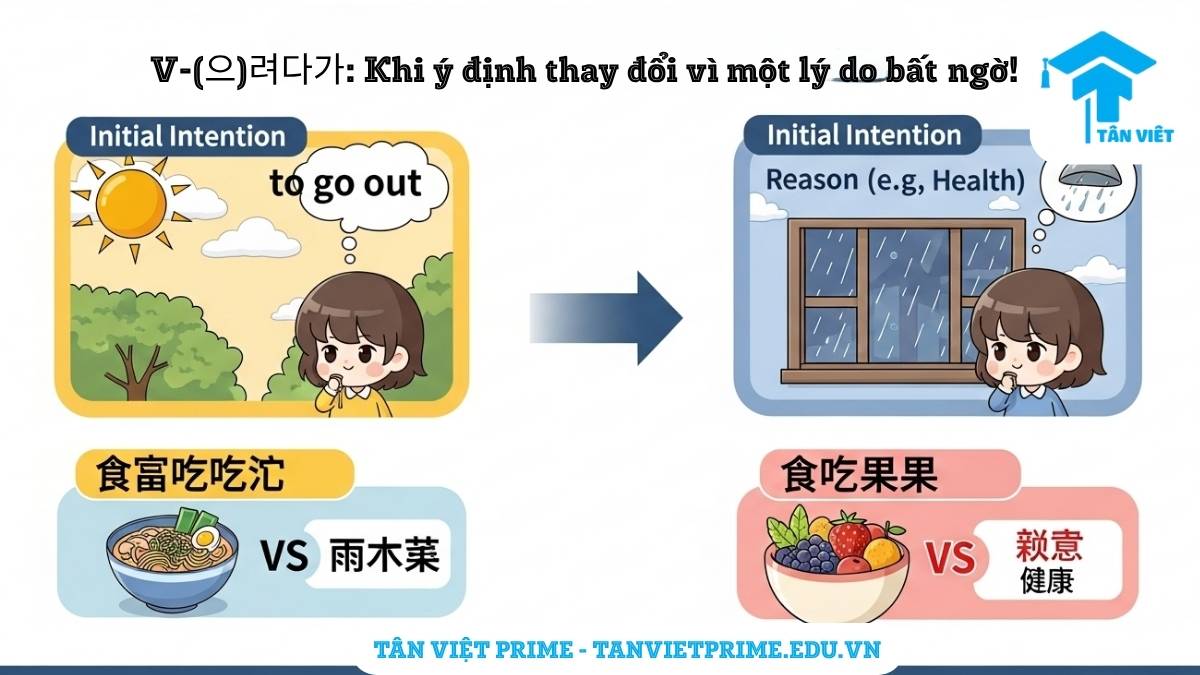 Infographic minh họa các ví dụ thực tế về ngữ pháp V-(으)려다가, diễn tả các tình huống thay đổi kế hoạch như "định ra ngoài thì trời mưa" hoặc "định ăn mì nhưng vì sức khỏe lại ăn hoa quả". Giúp người học dễ dàng hình dung và áp dụng vào cuộc sống.