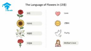 An infographic explaining the 'Language of Flowers in Korean (꽃말 - kkot-mal)', matching flowers like the Rose (장미) and Lily (백합) to their symbolic meanings. A visual guide to Korean flower vocabulary and gift-giving culture.