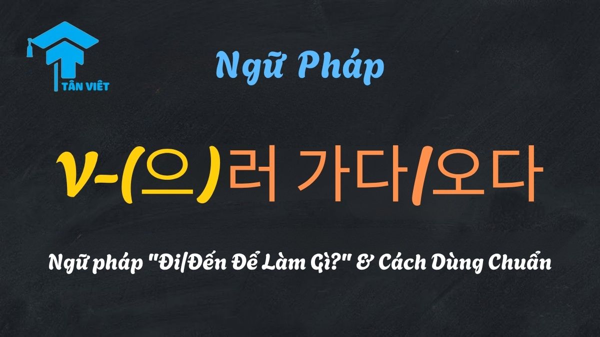 Hình ảnh đại diện bài viết ngữ pháp V-(으)러 가다/오다 của Tân Việt Prime, với tiêu đề "Đi/Đến Để Làm Gì?".