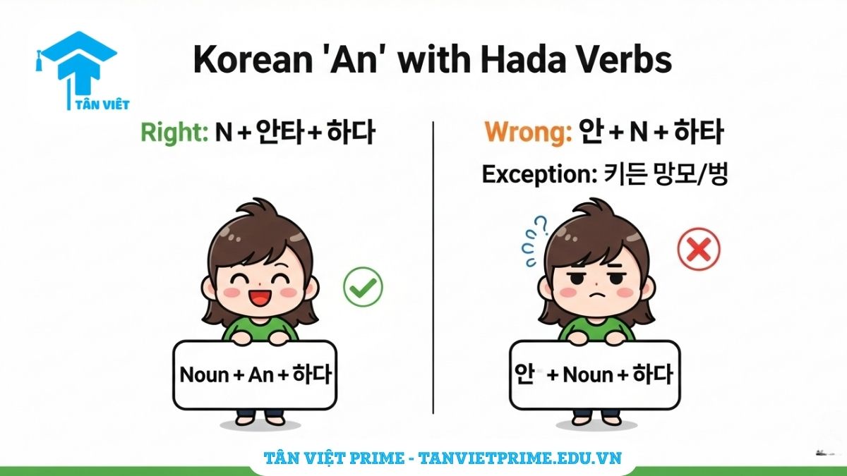 Infographic minh họa cách sử dụng ngữ pháp "안" với động từ "하다" trong tiếng Hàn, mô tả nhân vật chibi chỉ ra vị trí đúng và sai của "안" để làm rõ quy tắc tách danh từ và "하다". Hỗ trợ người học tiếng Hàn tránh nhầm lẫn phổ biến.