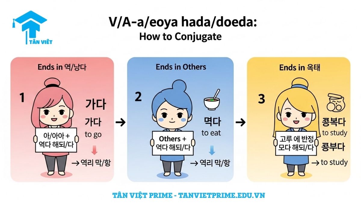 Infographic giải thích cách chia ngữ pháp V/A-아/어야 하다/되다, mô tả quy tắc kết hợp -아야, -어야, -해야 với các gốc động từ/tính từ khác nhau bằng hình ảnh chibi dễ thương để làm rõ cách tạo cấu trúc "phải làm gì". Giúp người mới bắt đầu dễ nhớ.
