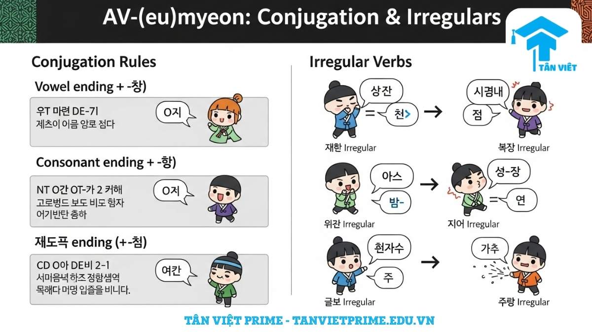 Ngữ pháp A/V-(으)면: Cách dùng "Nếu" & Phân biệt -ㄴ/는다면, -려면 3 Infographic giải thích quy tắc chia ngữ pháp A/V-(으)면 và các bất quy tắc tiếng Hàn, mô tả cách kết hợp với động từ/tính từ có nguyên âm, phụ âm, patchim 'ㄹ' và các bất quy tắc ㅂ, ㄷ, ㅅ, ㅎ, 르 bằng hình ảnh chibi minh họa để đơn giản hóa quá trình học.