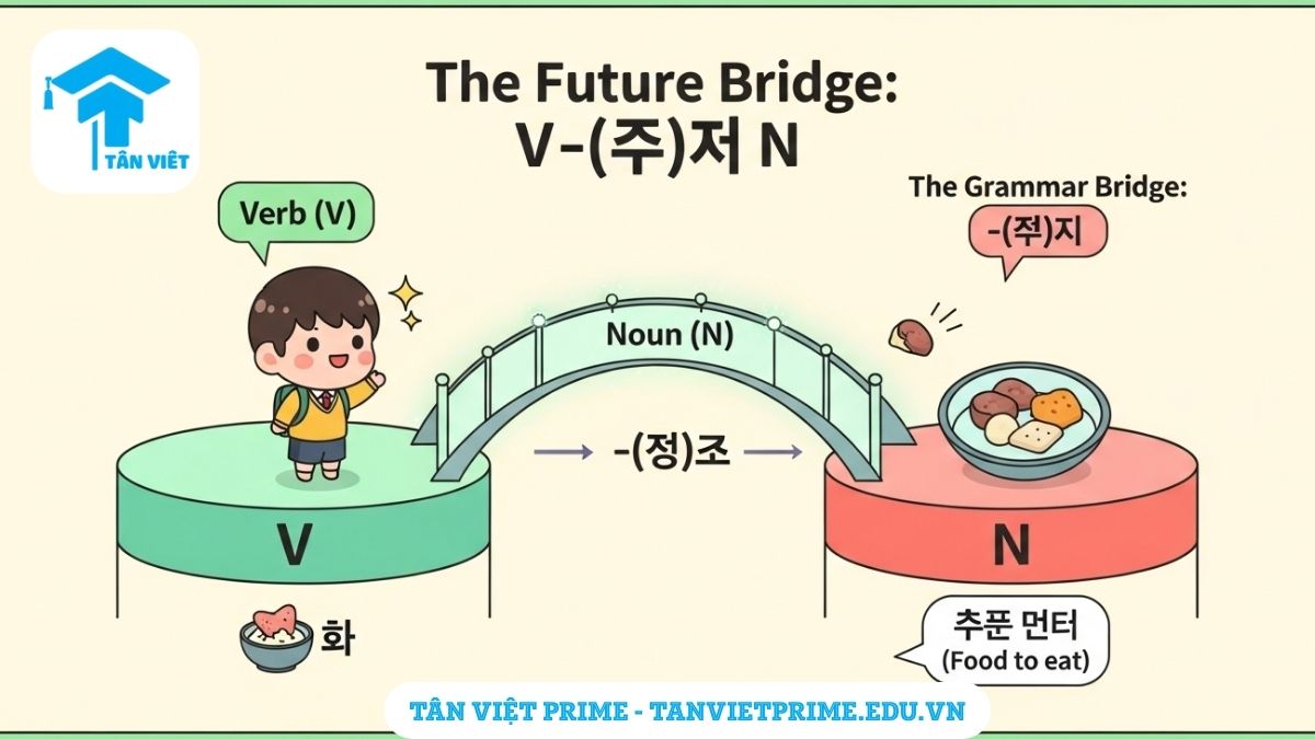 V-(으)ㄹ N: Cách dùng & Phân biệt định ngữ (으)ㄴ/는 | Tân Việt Prime 2 Infographic giải thích ngữ pháp V-(으)ㄹ N của Hàn Quốc, mô tả một cây cầu ngữ pháp -(으)ㄹ kết nối Động từ (V) với Danh từ (N) trong tương lai để làm rõ khái niệm định ngữ thì tương lai, nghĩa là "danh từ sẽ...".