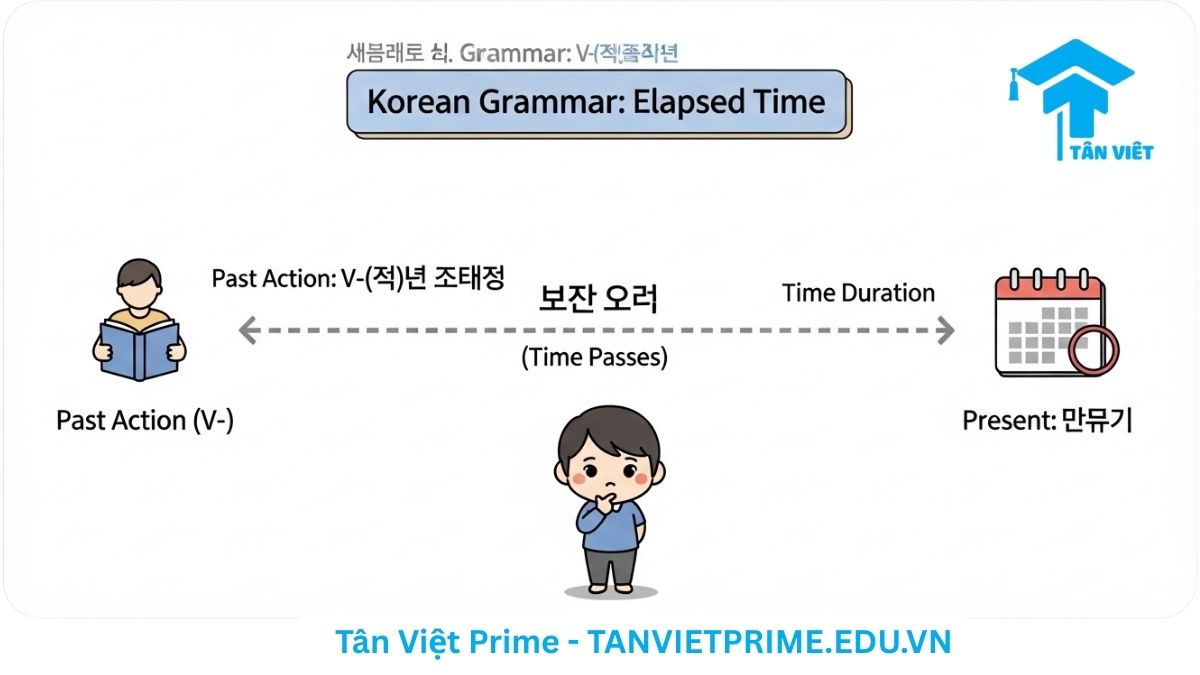 Infographic giải thích ngữ pháp tiếng Hàn V-(으)ㄴ 지, mô tả một dòng thời gian trực quan bắt đầu từ một hành động trong quá khứ, đi qua một khoảng thời gian, và kết thúc ở hiện tại để làm rõ mục đích diễn tả 'đã bao lâu kể từ khi...'. Giúp ghi nhớ công thức ngữ pháp thời gian.