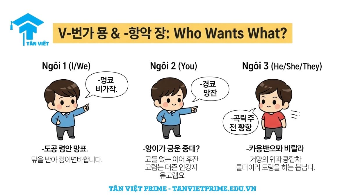 Infographic giải thích ngữ pháp V-고 싶다 và -고 싶어 하다, mô tả sự khác biệt giữa cách dùng cho ngôi thứ nhất, thứ hai và thứ ba qua hình ảnh các nhân vật chibi đáng yêu để làm rõ khái niệm cốt lõi về diễn tả mong muốn. Hướng dẫn sử dụng đúng cấu trúc "muốn" trong tiếng Hàn.