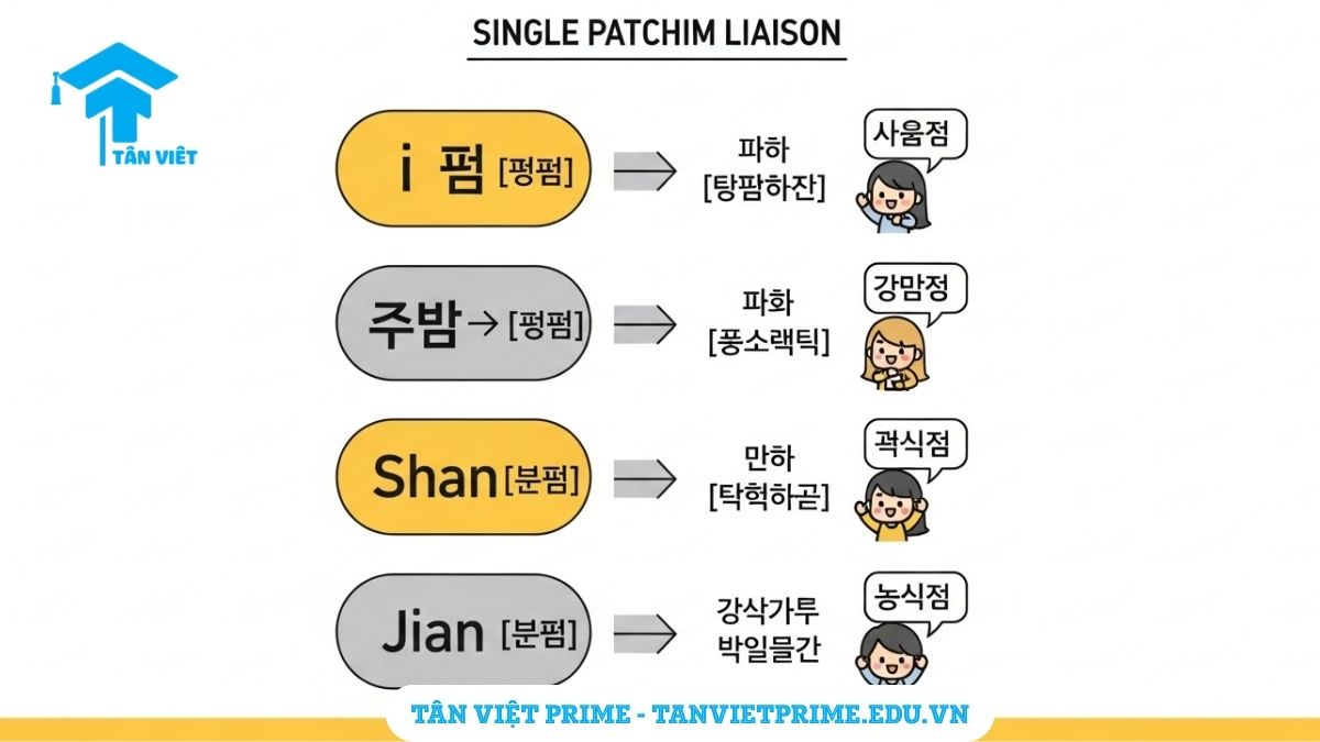 Hình ảnh minh họa quy tắc nối âm tiếng Hàn với patchim đơn, mô tả cách phụ âm cuối đơn được nối sang nguyên âm ở âm tiết sau thông qua các ví dụ thực tế. Giúp người học dễ dàng hình dung và luyện tập.