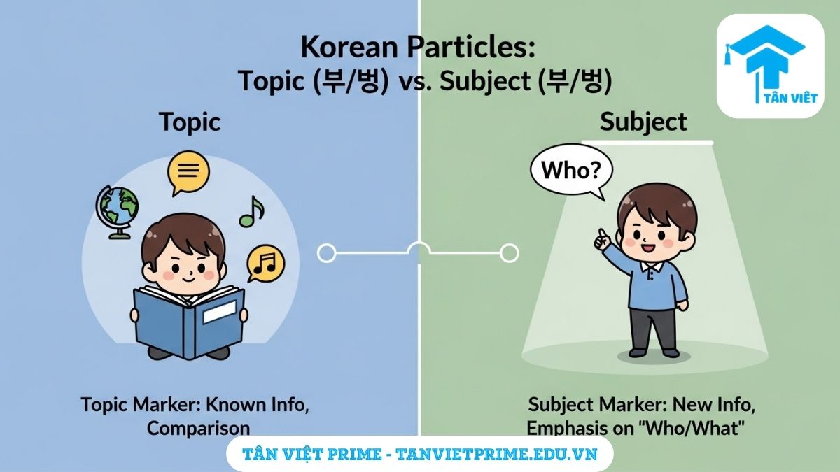Infographic giải thích sự khác biệt cốt lõi giữa tiểu từ chủ đề 은/는 và tiểu từ chủ ngữ 이/가, mô tả hai bên so sánh chức năng giới thiệu chủ đề/so sánh và chức năng nhấn mạnh chủ ngữ/thông tin mới để làm rõ cách dùng chính xác trong ngữ pháp tiếng Hàn.
