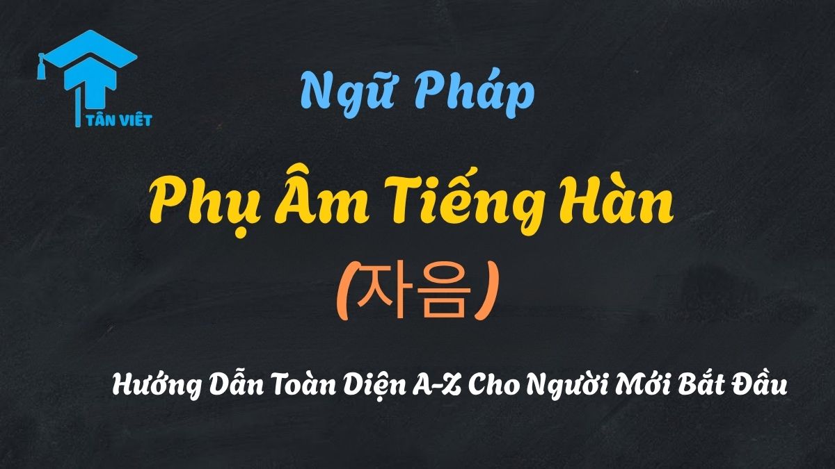 Hình ảnh đại diện bài viết Phụ Âm Tiếng Hàn, minh họa 19 ký tự Hangeul (자음) và phân loại theo âm thường, bật hơi, căng, cùng khái niệm patchim.