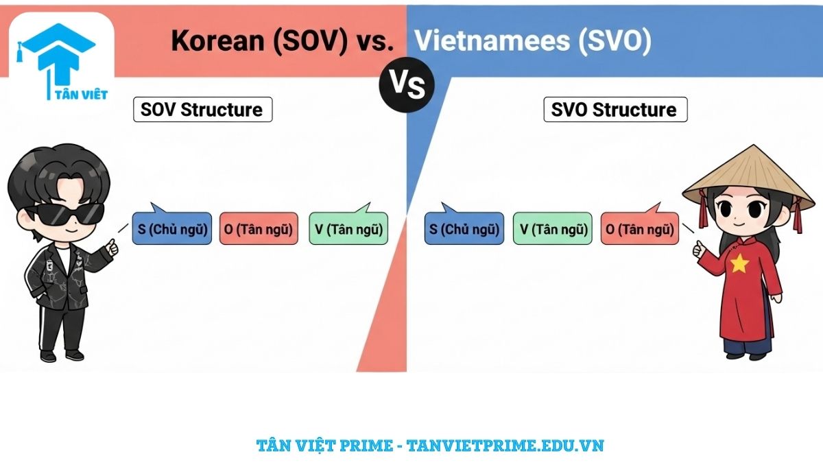 Infographic giải thích cấu trúc câu tiếng Hàn SOV, so sánh trực quan với cấu trúc SVO của tiếng Việt qua hình ảnh hai nhân vật chibi cute và các khối trật tự từ khác biệt.