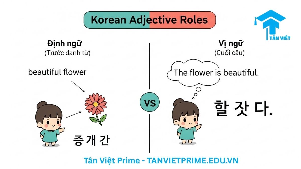 Sơ đồ so sánh hai vai trò của tính từ tiếng Hàn, bên trái là dạng định ngữ (예쁜 꽃 - hoa đẹp) và bên phải là dạng vị ngữ (꽃이 예뻐요 - hoa thì đẹp), giúp người học phân biệt rõ ràng hai cách sử dụng cốt lõi.