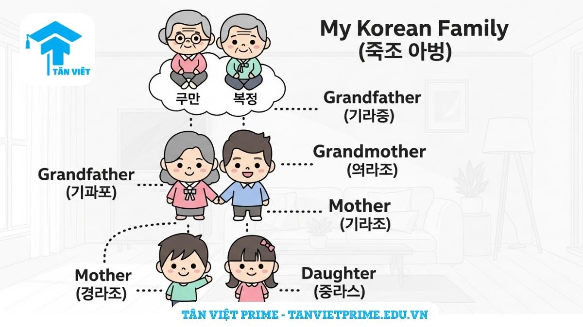 Từ Vựng Tiếng Hàn Về Gia Đình (가족): Cẩm Nang Xưng Hô Toàn Tập A-Z 2 Infographic giải thích từ vựng tiếng Hàn về gia đình hạt nhân, mô tả một cây gia phả với các nhân vật chibi ông bà, bố mẹ, con trai, con gái để làm rõ cách xưng hô cốt lõi. Giúp người mới bắt đầu dễ dàng ghi nhớ.