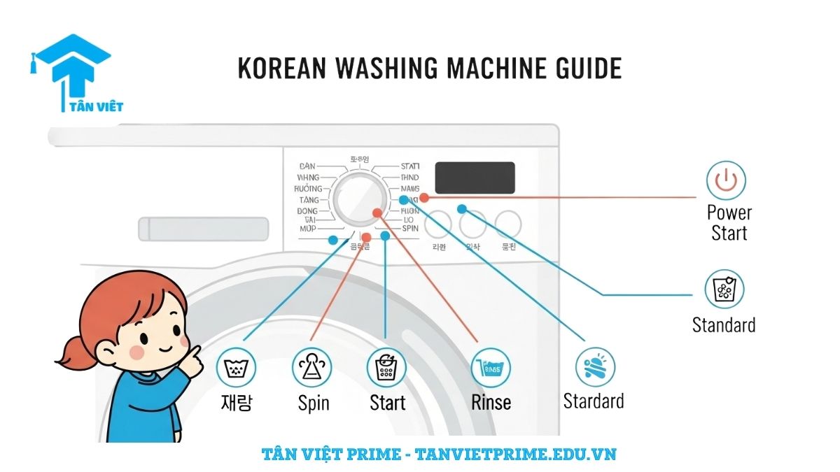 Từ Vựng Tiếng Hàn Về Máy Giặt (세탁기): Cẩm Nang Toàn Tập A-Z 3 Infographic giải thích các từ vựng tiếng Hàn trên bảng điều khiển máy giặt, mô tả các nút bấm và chức năng như 탈수 (vắt), 헹굼 (xả), 전원 (nguồn) để làm rõ ý nghĩa của từng chế độ giặt. Giúp người học tự tin sử dụng máy giặt tại Hàn Quốc.