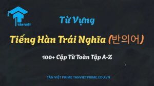 Tổng hợp các cặp từ vựng tiếng Hàn trái nghĩa (반의어) quan trọng nhất - Hình ảnh đại diện bài viết của Tân Việt Prime.