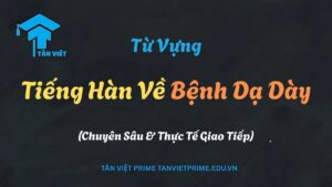 Hình ảnh minh họa chủ đề từ vựng tiếng Hàn về bệnh dạ dày, với một nhân vật đang ôm bụng đau và các từ khóa tiếng Hàn như '위염' (viêm dạ dày) và '소화불량' (khó tiêu).