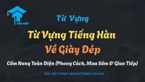 Các loại giày dép tiếng Hàn, bao gồm giày thể thao, giày da, bốt và dép lê, được sắp xếp trên nền để minh họa từ vựng