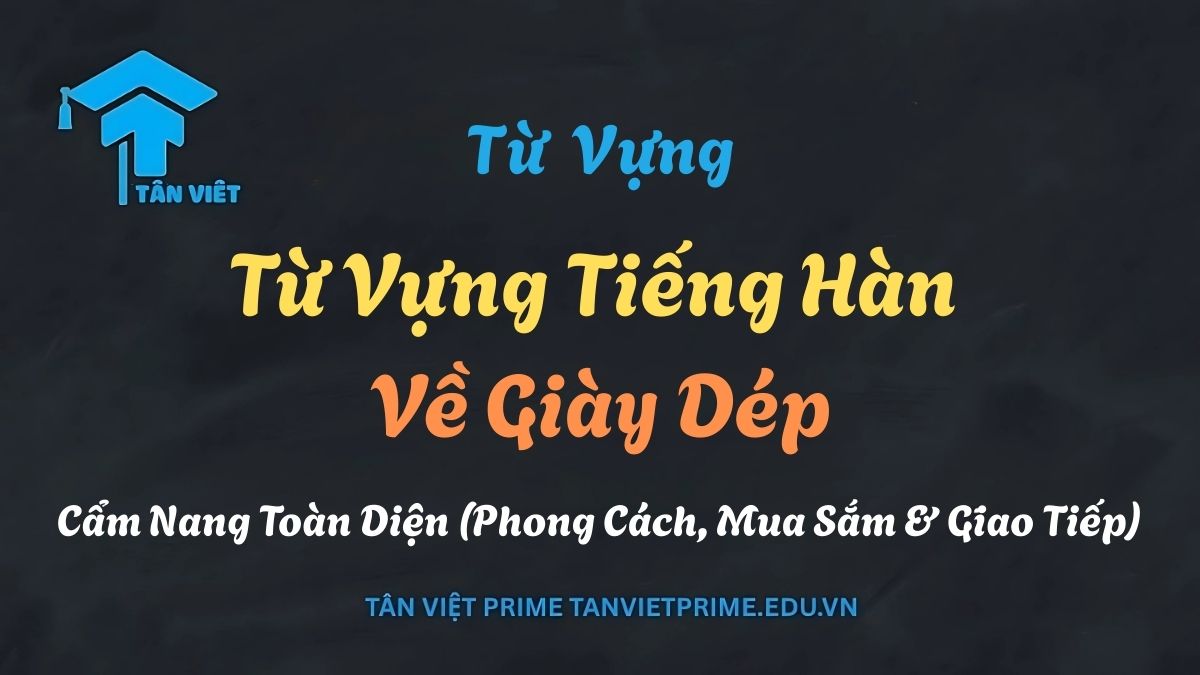 Các loại giày dép tiếng Hàn, bao gồm giày thể thao, giày da, bốt và dép lê, được sắp xếp trên nền để minh họa từ vựng