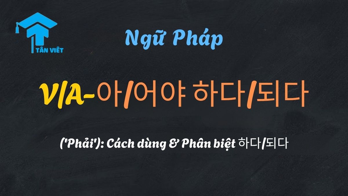Đồ họa giải thích ngữ pháp tiếng Hàn V/A-아/어야 하다/되다, minh họa ý nghĩa "phải làm gì" (nghĩa vụ, sự cần thiết).