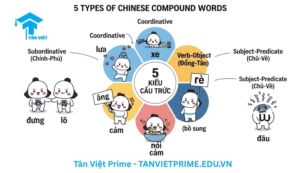 Sơ đồ infographic giải thích 5 kiểu cấu trúc từ ghép tiếng Trung phổ biến, mô tả năm nhân vật chibi đại diện cho 5 loại: Liên hợp, Chính-Phụ, Động-Tân, Bổ sung, và Chủ-Vị để phân loại các phương thức ghép từ phức hợp. Cẩm nang ngữ pháp tiếng Trung.