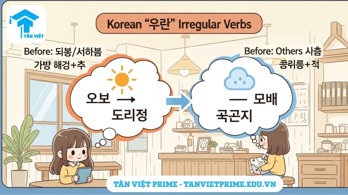 Infographic giải thích Bất quy tắc ㅡ (ㅡ 불규칙), mô tả một nhân vật chibi dễ thương học cách chia động từ 바쁘다 và 예쁘다 theo quy tắc nguyên âm trước để làm rõ quy tắc "nhìn lại nguyên âm phía trước" để quyết định chia theo 아요 hay 어요. Ngữ pháp tiếng Hàn sơ cấp dễ hiểu.