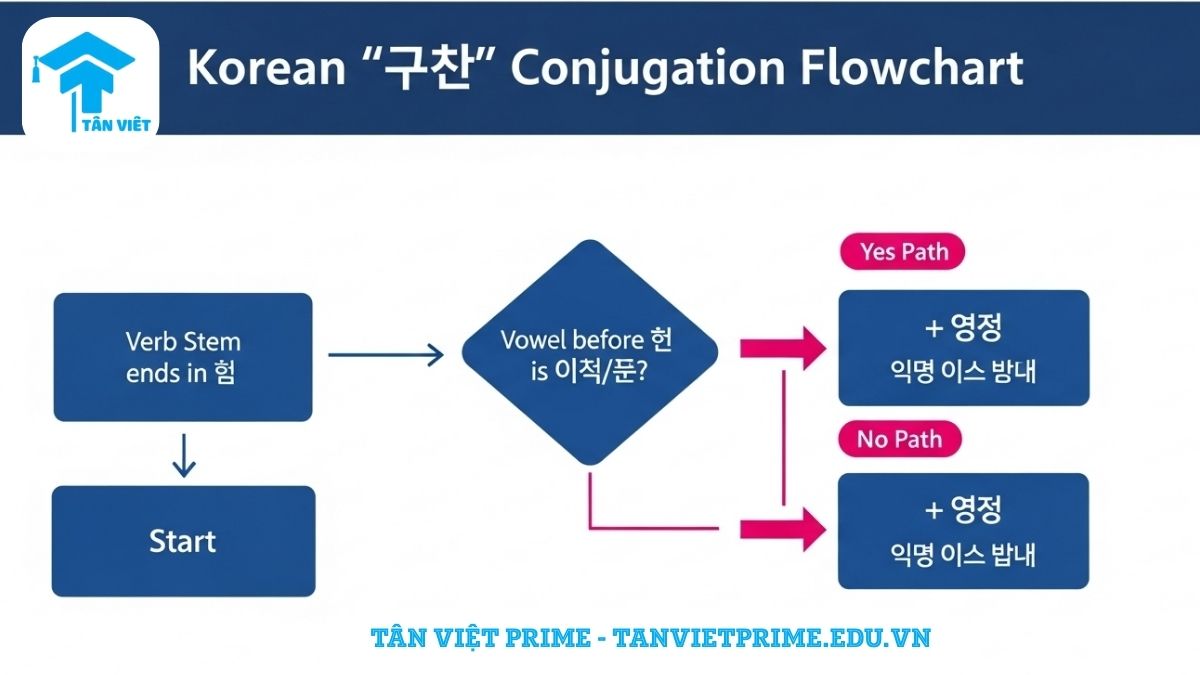 Sơ đồ giải thích Bất quy tắc ㅡ (ㅡ 불규칙), mô tả một lưu đồ logic mô tả quy trình 3 bước để chia động từ có đuôi 'ㅡ' trong tiếng Hàn để làm rõ cách xác định đuôi câu -아요 hay -어요 dựa trên nguyên âm đứng trước. Công thức chia động từ tiếng Hàn chính xác.