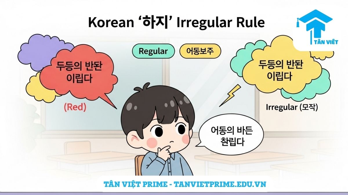 Infographic giải thích Bất quy tắc ㅎ (ㅎ 불규칙), mô tả một nhân vật chibi dễ thương đang học các quy tắc biến âm của đuôi 'ㅎ' qua các ví dụ về màu sắc để làm rõ sự khác biệt giữa cách chia từ có quy tắc (좋다) và bất quy tắc (빨갛다). Hướng dẫn ngữ pháp tiếng Hàn sơ cấp.