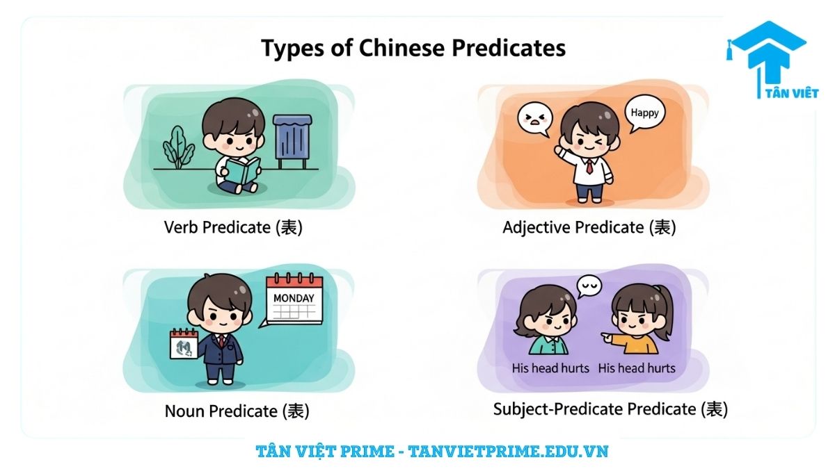 Hình ảnh minh họa các loại Vị ngữ chính trong tiếng Trung bằng các nhân vật chibi đáng yêu, bao gồm Vị ngữ Động từ, Vị ngữ Tính từ, Vị ngữ Danh từ và Vị ngữ Chủ-Vị. Mỗi loại được thể hiện qua một cảnh hoạt động hoặc trạng thái cụ thể để giúp người học phân biệt dễ dàng các dạng vị ngữ.