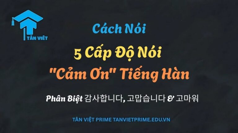 5 Cấp Độ Nói “Cảm Ơn” Tiếng Hàn: Phân Biệt 감사합니다, 고맙습니다 & 고마워