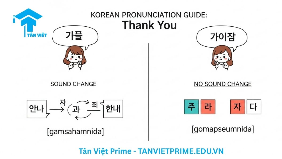 Sơ đồ giải thích quy tắc phát âm và biến âm khi nói "Cảm ơn tiếng Hàn", so sánh trực quan sự khác biệt giữa 감사합니다 ([gamsahamnida]) và 고맙습니다 ([gomapseumnida]) để giúp người học phát âm chuẩn.