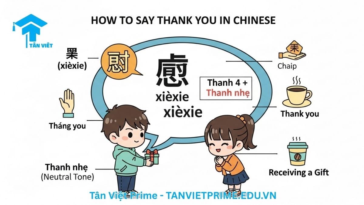 Xièxie (谢谢): Cách nói Cảm Ơn Tiếng Trung & Văn Hóa Giao Tiếp 2 Infographic giải thích cách nói cảm ơn tiếng Trung cơ bản, mô tả các nhân vật chibi và các tình huống sử dụng "谢谢" (xièxie) để làm rõ cách phát âm thanh nhẹ và các trường hợp áp dụng phổ biến trong giao tiếp hàng ngày