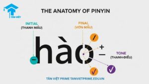 Infographic giải thích cấu trúc âm tiết Pinyin, mô tả chữ "hǎo" được tách thành 3 phần: Thanh mẫu "h", Vận mẫu "ao" và Thanh điệu (dấu hỏi) để làm rõ cách một âm tiết được cấu thành. Giúp người mới bắt đầu hiểu rõ nền tảng Pinyin
