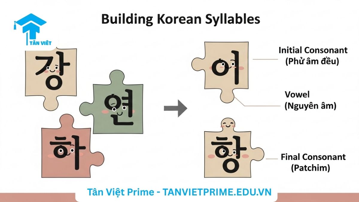Luyện Viết Tiếng Hàn: Hướng Dẫn Toàn Diện từ A-Z để Chinh Phục TOPIK 3 Sơ đồ giải thích chủ đề cấu trúc âm tiết tiếng Hàn, mô tả các ký tự phụ âm và nguyên âm ghép lại như những mảnh ghép để làm rõ cách tạo ra một chữ Hangul hoàn chỉnh. Nền tảng quan trọng cho người mới bắt đầu luyện viết tiếng Hàn.