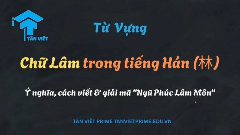 Chữ Lâm trong tiếng Hán (林): Ý nghĩa, cách viết & giải mã “Ngũ Phúc Lâm Môn”