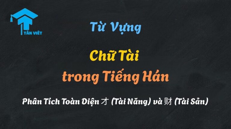 Chữ Tài trong Tiếng Hán: Phân Tích Toàn Diện 才 (Tài Năng) và 财 (Tài Sản)
