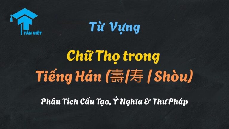 Chữ Thọ trong Tiếng Hán (壽/寿 / Shòu): Phân Tích Cấu Tạo, Ý Nghĩa & Thư Pháp