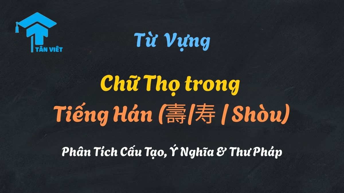 Hình ảnh thư pháp chữ Thọ trong tiếng Hán (壽/寿), minh họa cho ý nghĩa về sự trường thọ, sức khỏe và cách viết Hán tự.