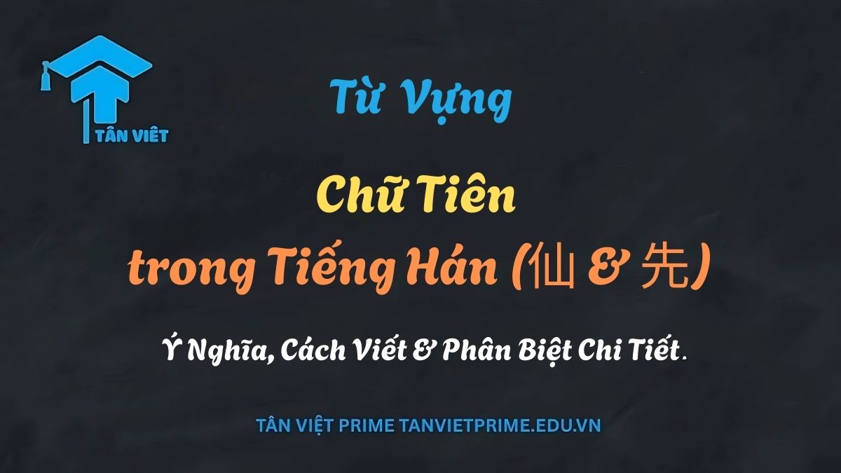 Chữ Tiên trong Tiếng Hán (仙 & 先): Ý Nghĩa, Cách Viết & Phân Biệt Chi Tiết 1 Phân biệt chi tiết chữ Tiên 仙 (thần tiên) và 先 (tổ tiên) trong tiếng Hán - Bài viết của Tân Việt Prime
