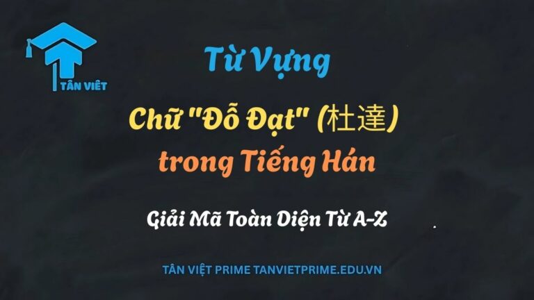 Chữ “Đỗ Đạt” trong Tiếng Hán: Giải Mã Chữ 杜, 達 & Thuật Ngữ 登科